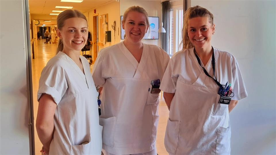Lenke til artikkel: Ny mentorordning på plass 