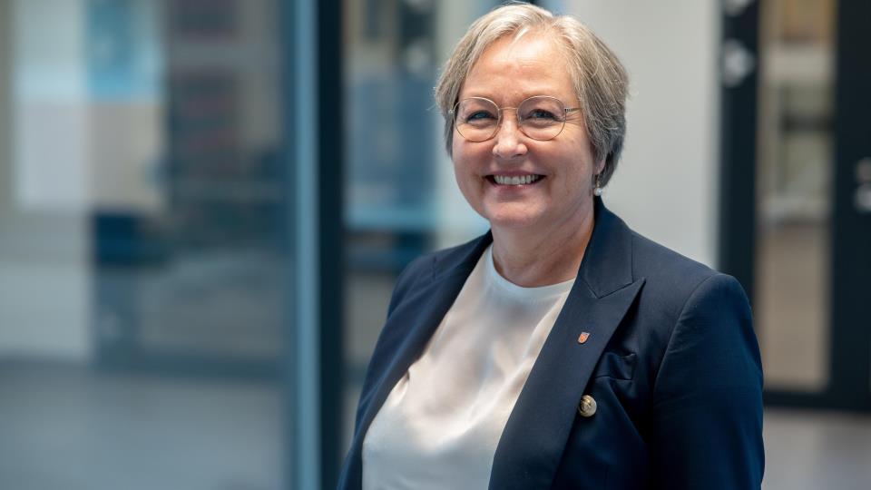 Lenke til artikkel: Nytt sykehjem og mulig datasenter 