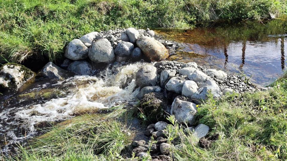 Lenke til artikkel: Spennende arbeid for å sikre sjøørreten 