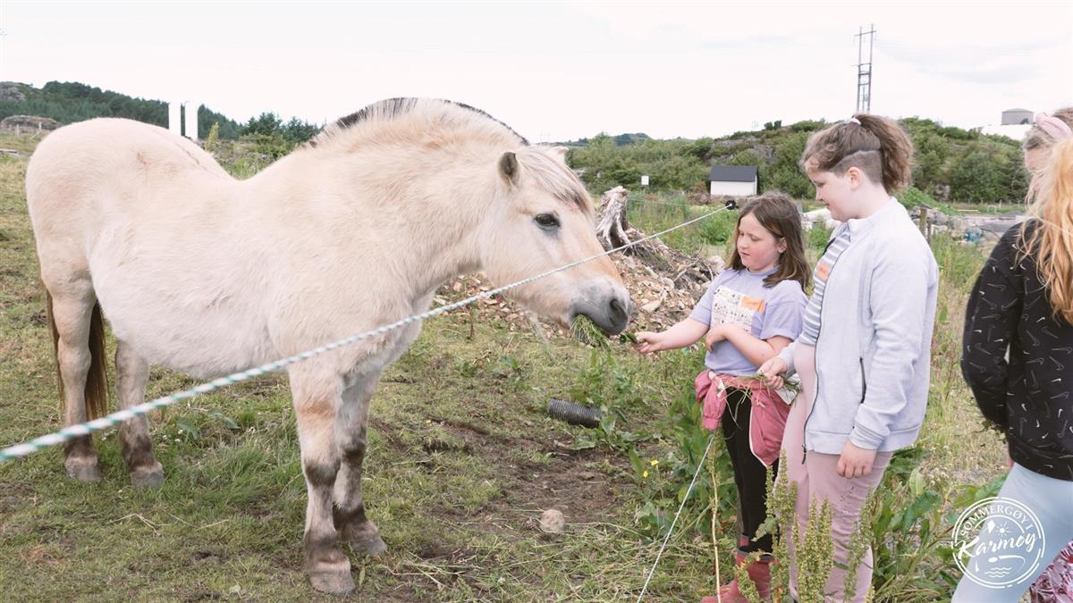 Barn klapper en hest - Klikk for stort bilde