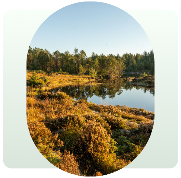 Ovalgrafikk med bilde av natur i Karmøy