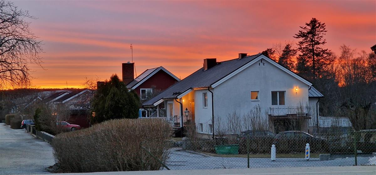 Hus i norsk nabolag. Solnedgang. Himmel, gate, trær. Foto. - Klikk for stort bilde