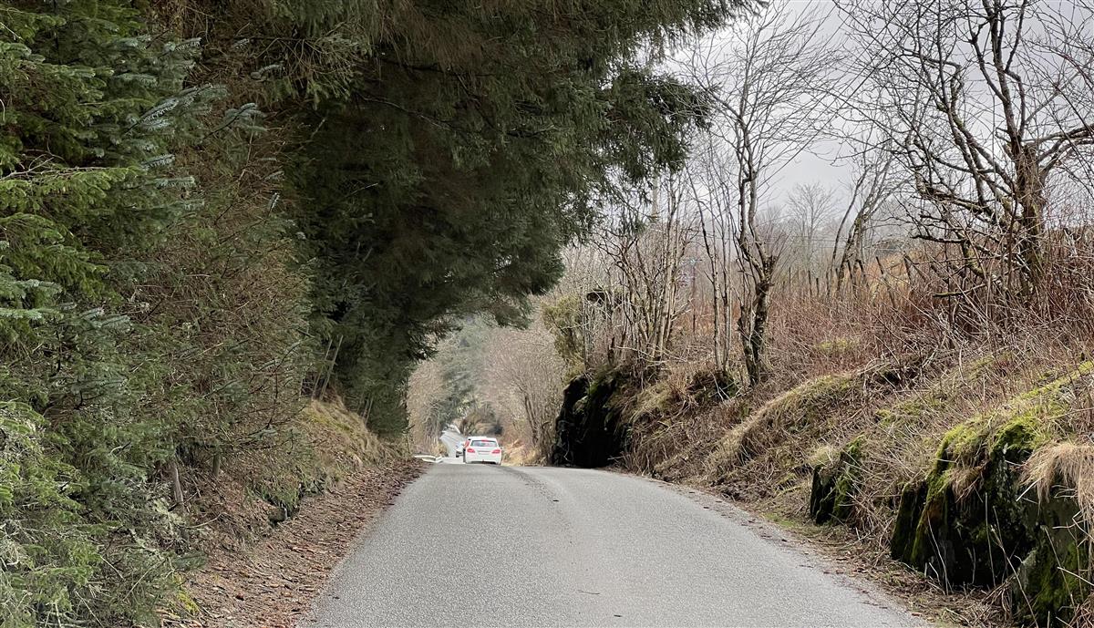 Eikjevegen - Klikk for stort bilde