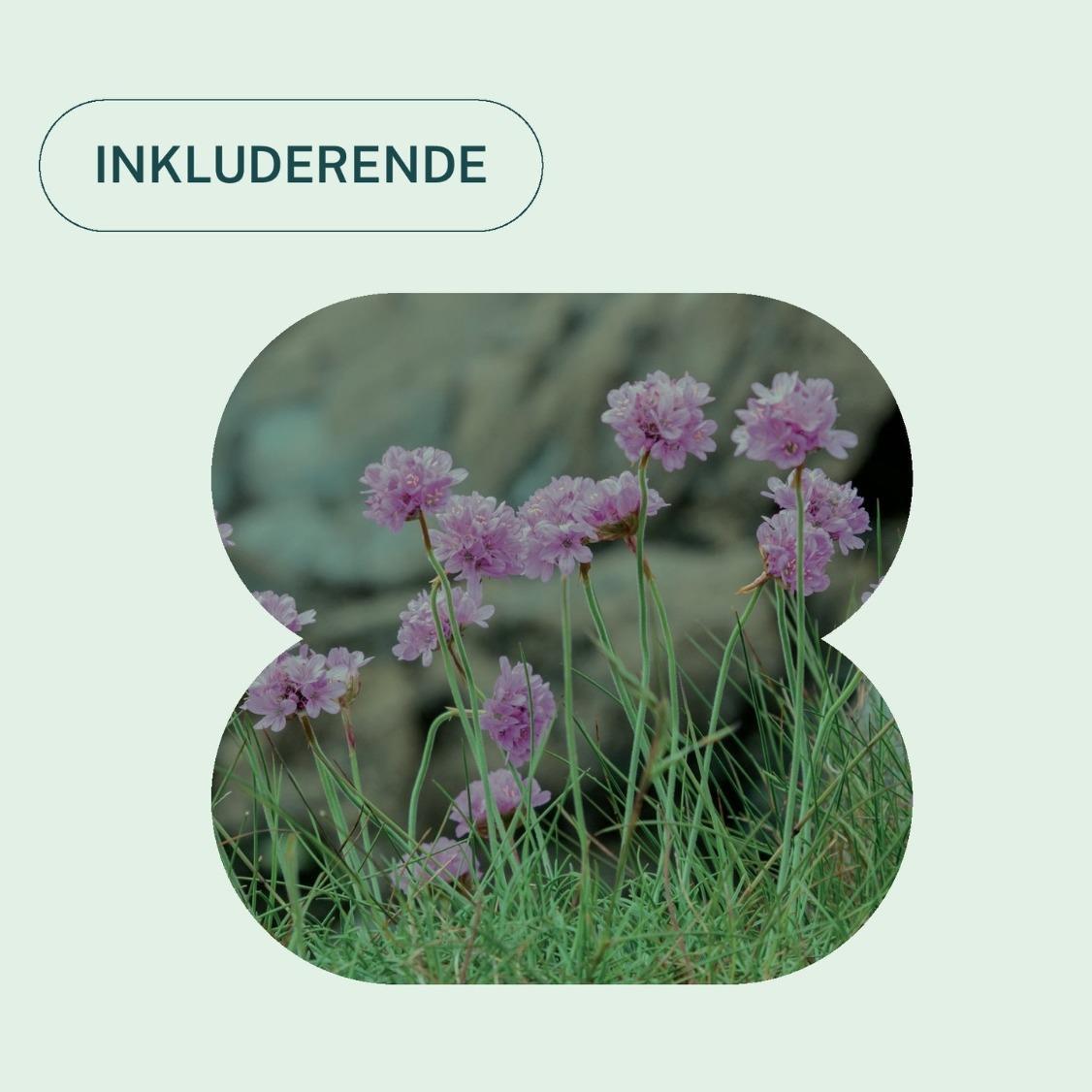Kystblomsten Fjærkoll og teksten "Inkluderende" - Klikk for stort bilde