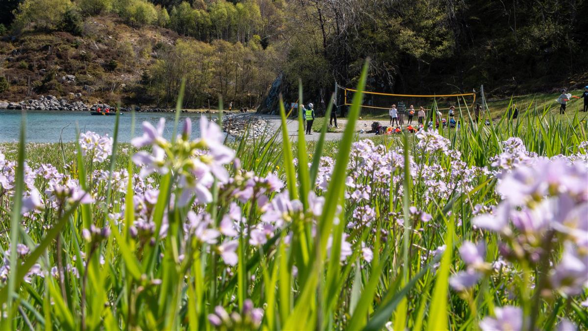 Stand Lindøy - Klikk for stort bilde